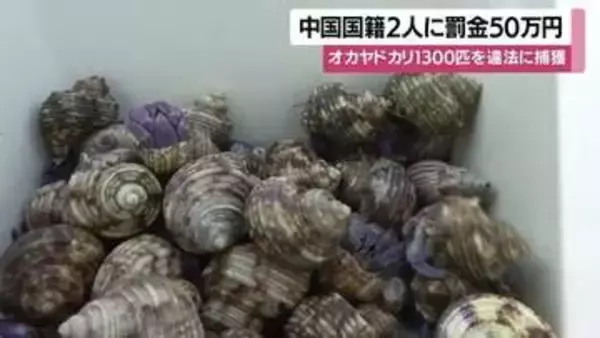 天然記念物オカヤドカリ1333匹を密漁　中国籍の男2人に罰金50万円　「組織的で悪質」と裁判官