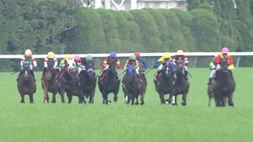 【オークス出走権をかけたフローラS・G2】舞台は東京へ　クラシック戦線の新たな主役候補が誕生するか！？そして、今週の穴馬は…