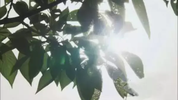 大人よりもダメージは重大…4月でも紫外線量は9月並み　子供の肌と目を守るため今すぐ始めたい3つの対策