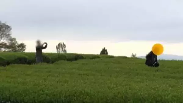 「富士山と茶畑」の“絶景”　映え求め、立ち入り禁止の茶畑に侵入の“迷惑行為”…落書き・ごみも　直撃取材に「ごめんなさい」