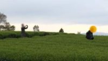 「富士山と茶畑」の“絶景”　映え求め、立ち入り禁止の茶畑に侵入の“迷惑行為”…落書き・ごみも　直撃取材に「ごめんなさい」