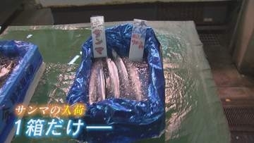 秋を代表する味覚サンマ 今季の価格は？ 1尾1000円越えの高値も 前年同時期と比べ漁獲量が激減 【福岡発】