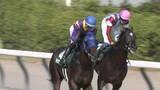 「【レパードS・GⅢ】チェリヴェント 重賞初挑戦V！　吉村誠之助騎手　去年5月以来 JRA重賞通算3勝目」の画像1