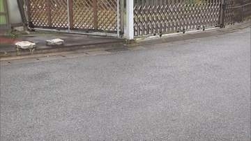 14歳女子中学生を逮捕　60代女性の顔にスプレーかけて財布奪った疑い　女性が追いかけ取り押さえる　埼玉・春日部市
