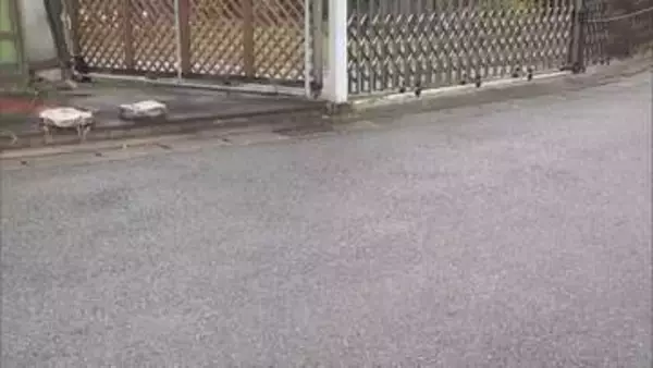 14歳女子中学生を逮捕　60代女性の顔にスプレーかけて財布奪った疑い　女性が追いかけ取り押さえる　埼玉・春日部市