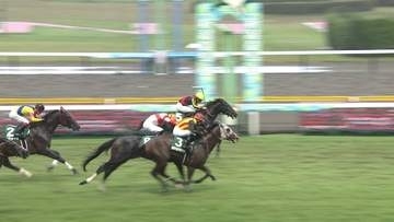 【新潟記念・G3】超豪華決戦はゾロアストロが制す！　岩田望来騎手　今年重賞6勝目を飾る
