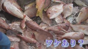 大人気のフィッシュバーガー 具材は市場に出ない“ワケアリ”の魚  ｢もったいない｣がビジネスのヒント 【福岡発】