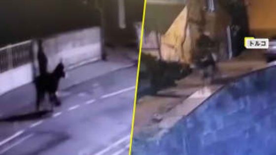 ロバに乗った強盗犯が逃走…フォークリフトでシャッターこじ開け金150グラム強奪も逃げ切れず　ロバは“飼いロバ”　トルコ