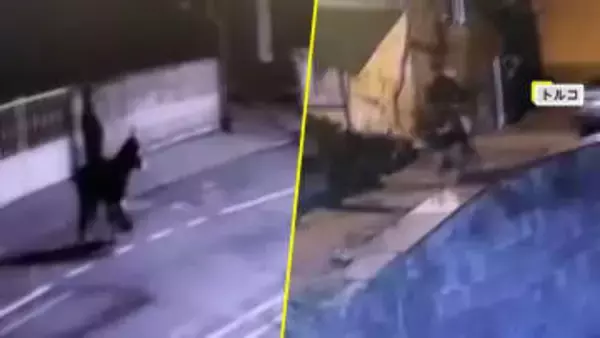 ロバに乗った強盗犯が逃走…フォークリフトでシャッターこじ開け金150グラム強奪も逃げ切れず　ロバは“飼いロバ”　トルコ