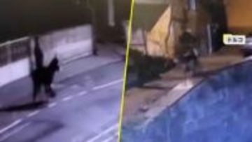 ロバに乗った強盗犯が逃走…フォークリフトでシャッターこじ開け金150グラム強奪も逃げ切れず　ロバは“飼いロバ”　トルコ