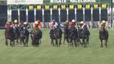 「【夏競馬最終戦 新潟記念・G3】G1馬5頭が集結！C.ルメール騎手がロデオドライブと2000メートルへ」の画像1