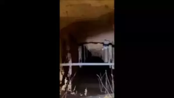 ポーランドに180人超の移民が不法越境…ベラルーシ国境の“森に隠されたトンネル”通る　これまでに130人超を拘束