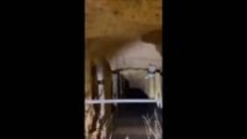 ポーランドに180人超の移民が不法越境…ベラルーシ国境の“森に隠されたトンネル”通る　これまでに130人超を拘束