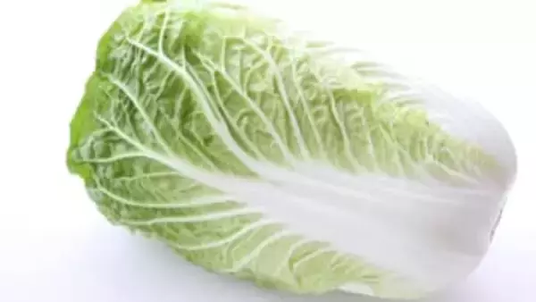 野菜ソムリエが教える甘い白菜の選び方と、鮮度を保つ“成長点破壊”の裏ワザ。「黒い点々」は食べても大丈夫！