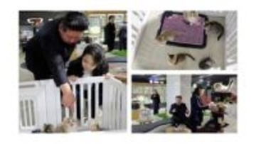 「平壌でもペット飼う家庭」金正恩氏が子犬抱く様子を公開　ペットショップ開業など生活水準の向上アピールする狙いか