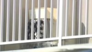 施設で当時4歳と3歳の姉妹死亡　長女殺害容疑で30歳母親を逮捕　次女の殺害もほのめかす…無理心中を装ったか　福岡・嘉麻市