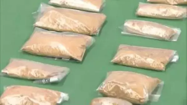 体内に隠して運び…“粉状の金”の密輸急増　12億円分を押収　すべて中国・香港から