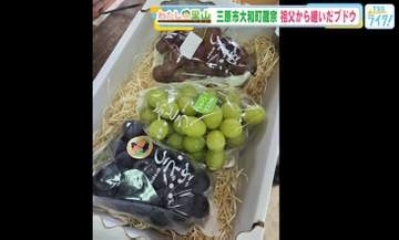 若き移住者が継ぐ里山のぶどう園　—　三原・蔵宗で受け継がれる土と技　【広島発】