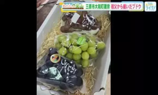 若き移住者が継ぐ里山のぶどう園　—　三原・蔵宗で受け継がれる土と技　【広島発】