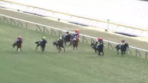 【共同通信杯＆京都記念】先週は雪の影響で東京・京都の開催中止　WIN5も実施されず。今週は仕切り直しの東西重賞でクラシックを目指す馬が集結！