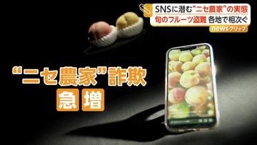 「これはもう詐欺やな」桃1箱15個入り1500円…SNSで急増する“ニセ農家”詐欺　実在農園の名前悪用も　格安フルーツ販売に注意