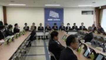 衆院定数1割削減　自民 週内にも党内手続き完了へ　立憲民主「数の力での可決許さない」　国民民主は“選挙制度変えて削減”