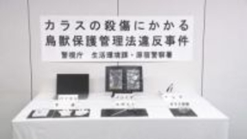 カラスに“農薬”パンくず…7羽死なせたか　鳥獣保護法違反で会社員の男（62）書類送検「4～5回撒いた」　東京・渋谷区