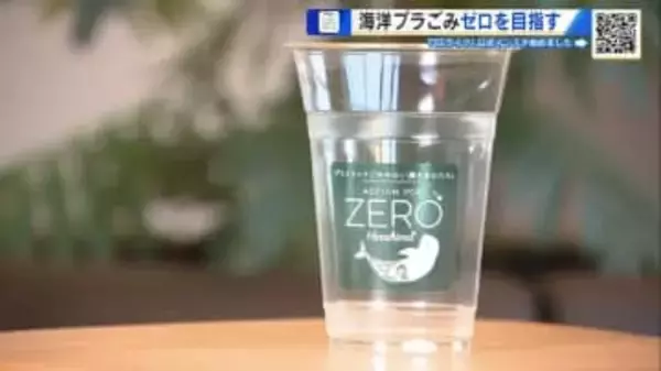 宮島観光の「脱プラ化」広がる　“生分解性”素材のカップなど県が導入支援　「海洋プラごみゼロ」目指す【広島発】