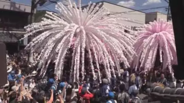 高齢化で不参加決める町内も…色鮮やかな“花みこし”が乱舞し合う『美濃まつり』後世に残そうと奮闘する家族の思い