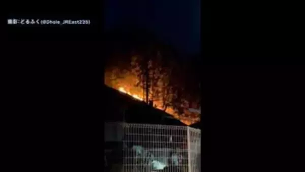 埼玉・横瀬町で山林火災　1時間半後に鎮火