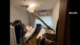 「強風で倒れた木が屋根突き破りベッドを直撃　首都圏では交通混乱　“予定”あきらめる人も」の画像1
