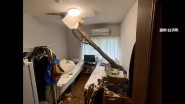 強風で倒れた木が屋根突き破りベッドを直撃　首都圏では交通混乱　“予定”あきらめる人も