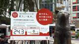「未来の夏は暑さで外出禁止？　“2050年”の天気予報公開」の画像1