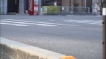 横断歩道で81歳女性をひき逃げか　配送業の女逮捕　埼玉・朝霞市