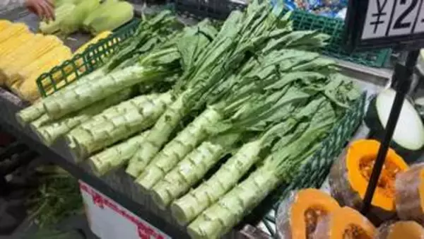 中国で「茎レタス」の“違法着色”発覚　青と黄色の食品用着色料を検出　黄ばみや傷隠しか　市民「怖くて買えない」