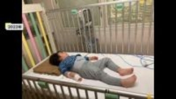 「かゆい、かゆい」3歳が耳かき一杯で救急搬送　“重症化”しやすいナッツアレルギー　外食に潜むリスクと支える家族【2025年度の読まれた記事】