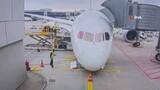 「【映像】ルフトハンザ機の前脚が突然破損、乗務員ら数人負傷　機体が地面にたたきつけられる　原因調査」の画像1