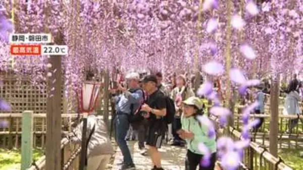 山梨・韮崎市で29℃観測　都心は最高気温25.6℃で8日ぶり夏日に　潮干狩りなど行楽地にぎわい
