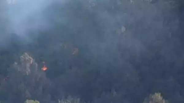 静岡・藤枝市の山林火災延焼続く　消防車9台とヘリ3機が消火活動　けが人や建物への被害なし