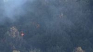 静岡・藤枝市の山林火災延焼続く　消防車9台とヘリ3機が消火活動　けが人や建物への被害なし