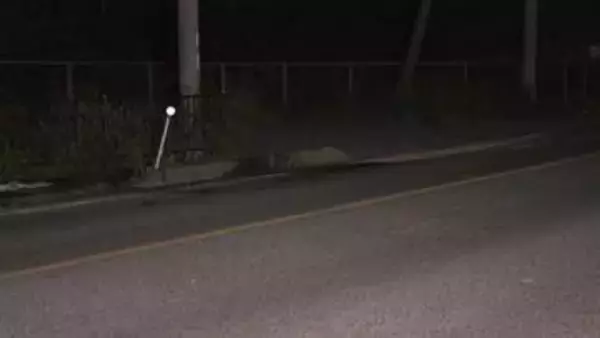 車3台絡む事故で中学生10人含む13人ケガ　ミニバンに中型乗用車が正面衝突し、1台巻き込まれる　滋賀・彦根市