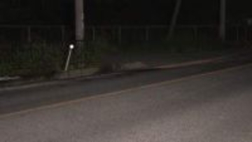 車3台絡む事故で中学生10人含む13人ケガ　ミニバンに中型乗用車が正面衝突し、1台巻き込まれる　滋賀・彦根市