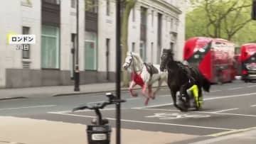 ロンドン市街地で馬が暴走　近衛騎兵隊の馬5頭が訓練中に逃走し少なくとも4人けが
