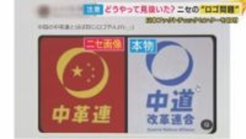 「嘘をつくのは1秒」選挙前にSNSで出回る“ニセ情報”どう見抜く？「拡散してしまった理由」“興味深い・重要だと思った”が多く…“善意”で広がる現状