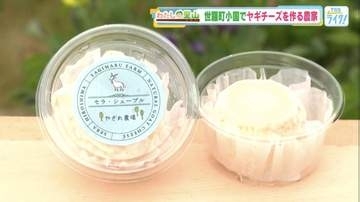 手搾りミルクの「ヤギチーズ」　コメ農家の親子が挑む新しい農業　辰已アナウンサーの“里山アポなし旅”【広島発】