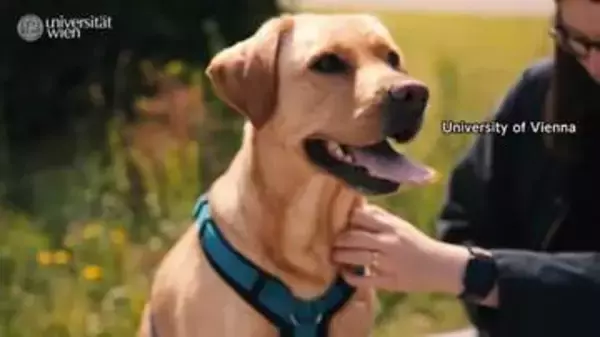 犬が人間の表情から感情読み取る　幸せそうな表情の写真で喜びの感覚に関わる脳の領域活発に　ウィーンの大学研究チーム