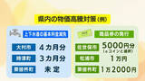 「全市民に1人あたり5000円給付へ 国の「物価高騰対策」上下水道の基本料金無料や商品券発行の自治体も 長崎」の画像1