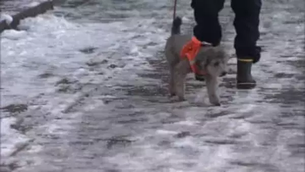 路面“ツルツル”都内各所で観測史上最低気温　都心あすは晴れて最高気温12℃予想…日曜日には“4月上旬並みの陽気”に