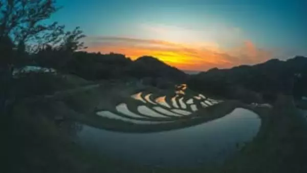 米を育む美しい幾何学模様！失われゆく今こそ訪ねたい絶景の「棚田」【一人旅研究会の“日本”ノスタルジック写真館】