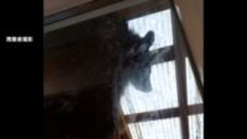 冬眠しないクマ居座りか　住宅の車庫で緊急銃猟　福島・北塩原村